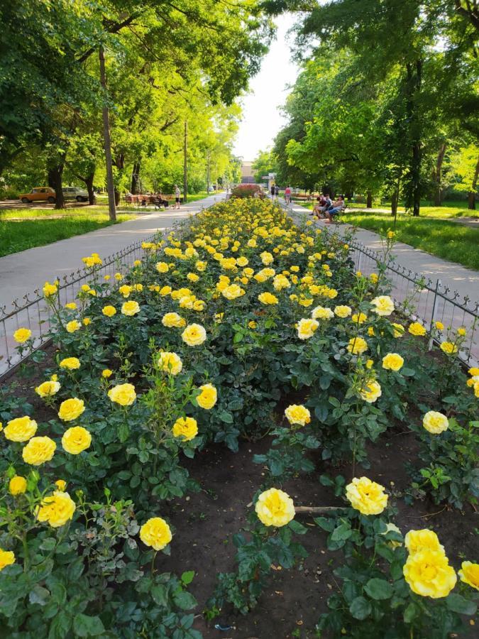 1-Комн. Квартира В Центре Возле Козак Палаца! Zaporizhia Екстериор снимка